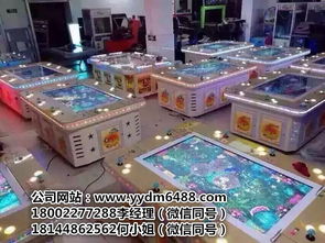 游戲廳電玩游戲機(jī)大全——探訪廣州市番禺區(qū)東環(huán)勇車動漫產(chǎn)品開發(fā)部