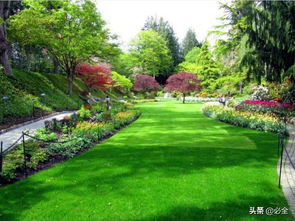 必看│園林綠化施工的流程步驟