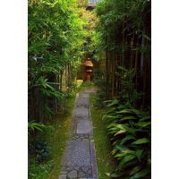 福建種苗品牌大全