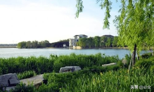 園林綠化種植中要注意什么