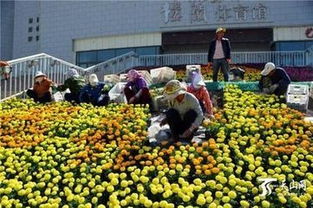 市政園林工程施工技術(shù)難點及其應(yīng)對措施 深圳市政園林綠化技巧培訓(xùn)