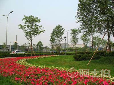 園林綠化工程施工及驗收規(guī)范