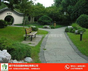 撫州園林綠化 百佳苗木公司 別墅園林綠化養(yǎng)護(hù)