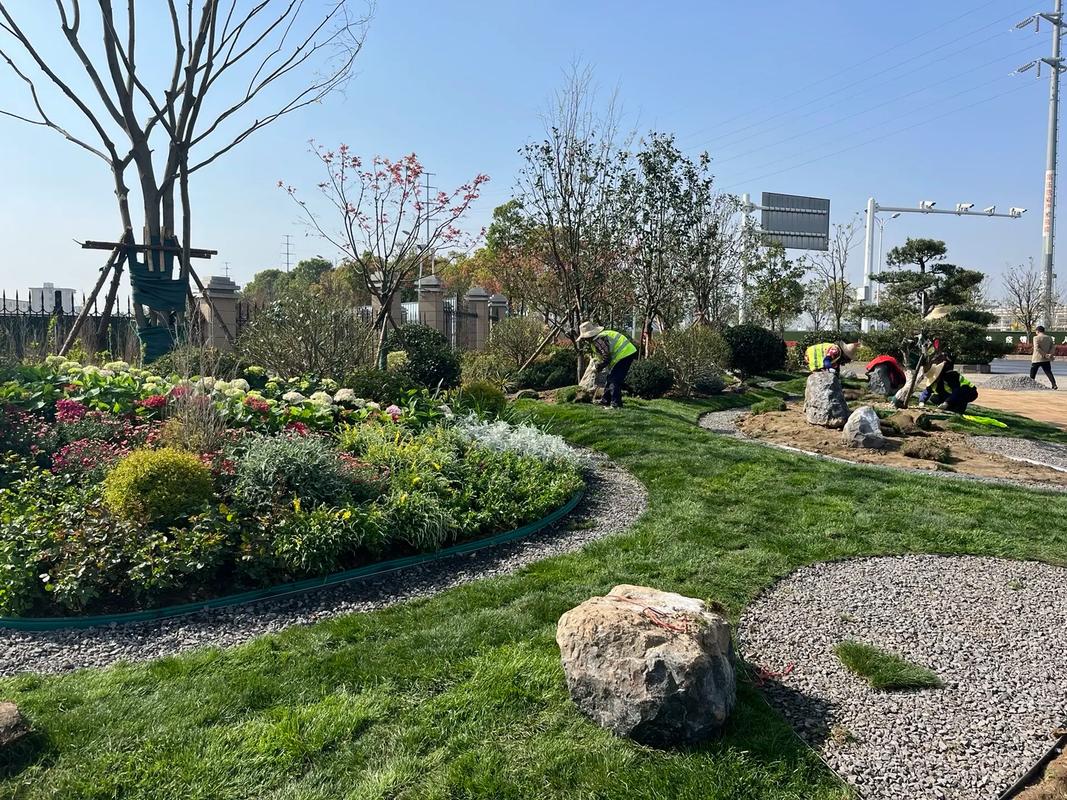 園林綠化工程 #施工現(xiàn)場(chǎng)實(shí)拍