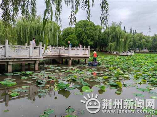 緊急提醒 荊州已出現 千萬別碰