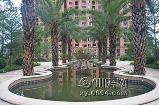 金石華府二期園林綠化施工進展及3號樓新品預(yù)告